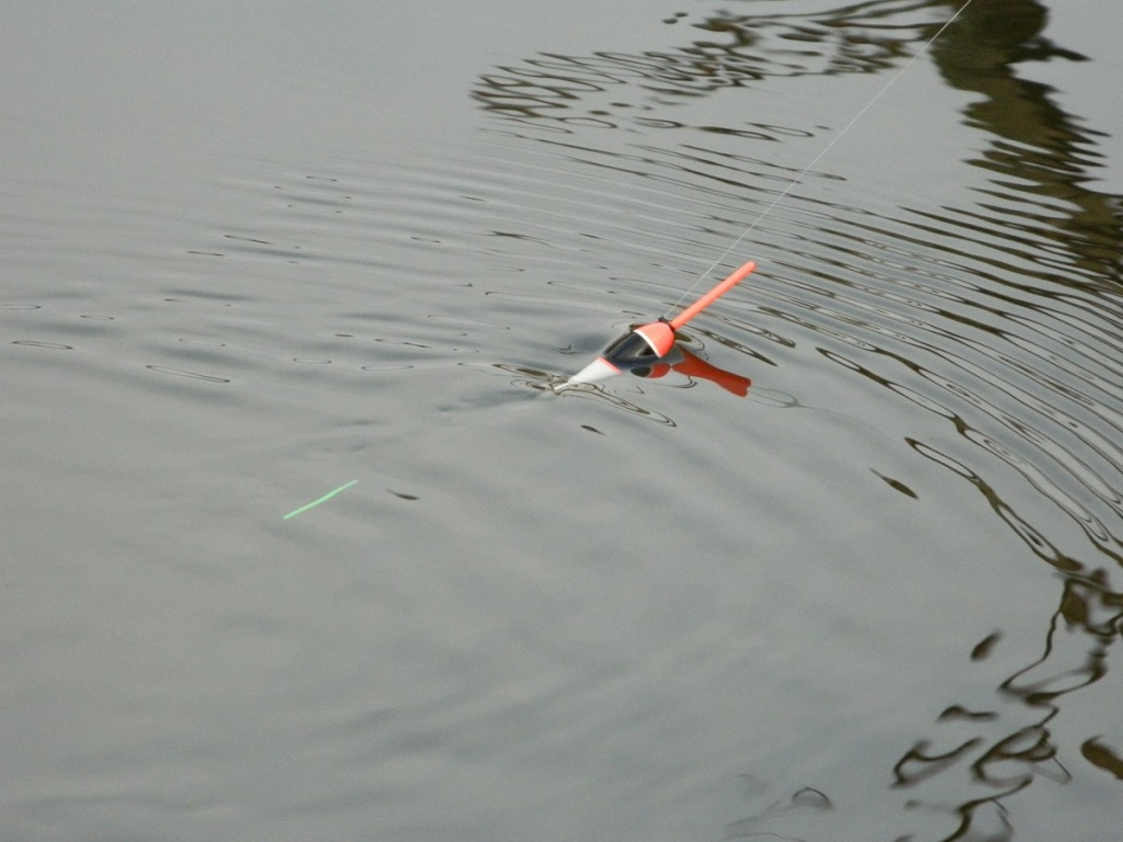 рыбалка с болонкой на реке ранней весной  00006.JPG